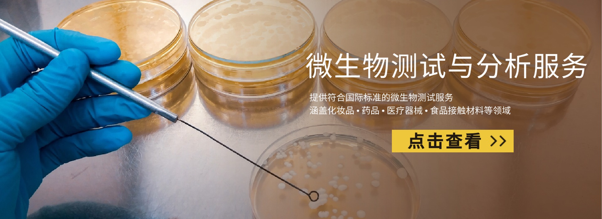 微生物測試與分析服務(wù)(圖1)